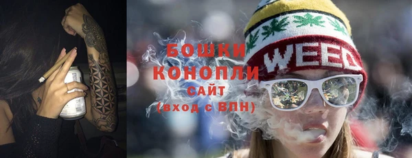 дурь Ладушкин