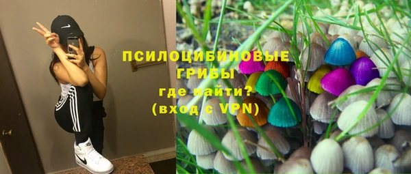 ALPHA PVP Лабытнанги