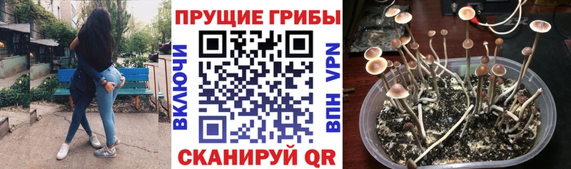 Купить  Ядрин  Галлюциногенные грибы мухоморы 